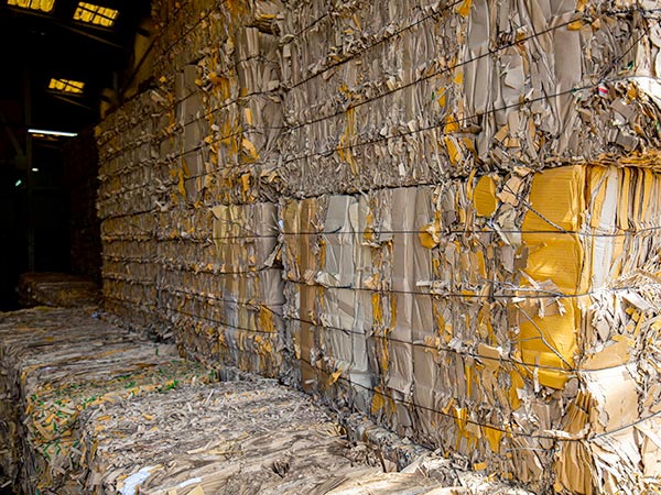 cartotecnica-sostenibile-todeschini-per-incollaggio-savignano-sul-panaro